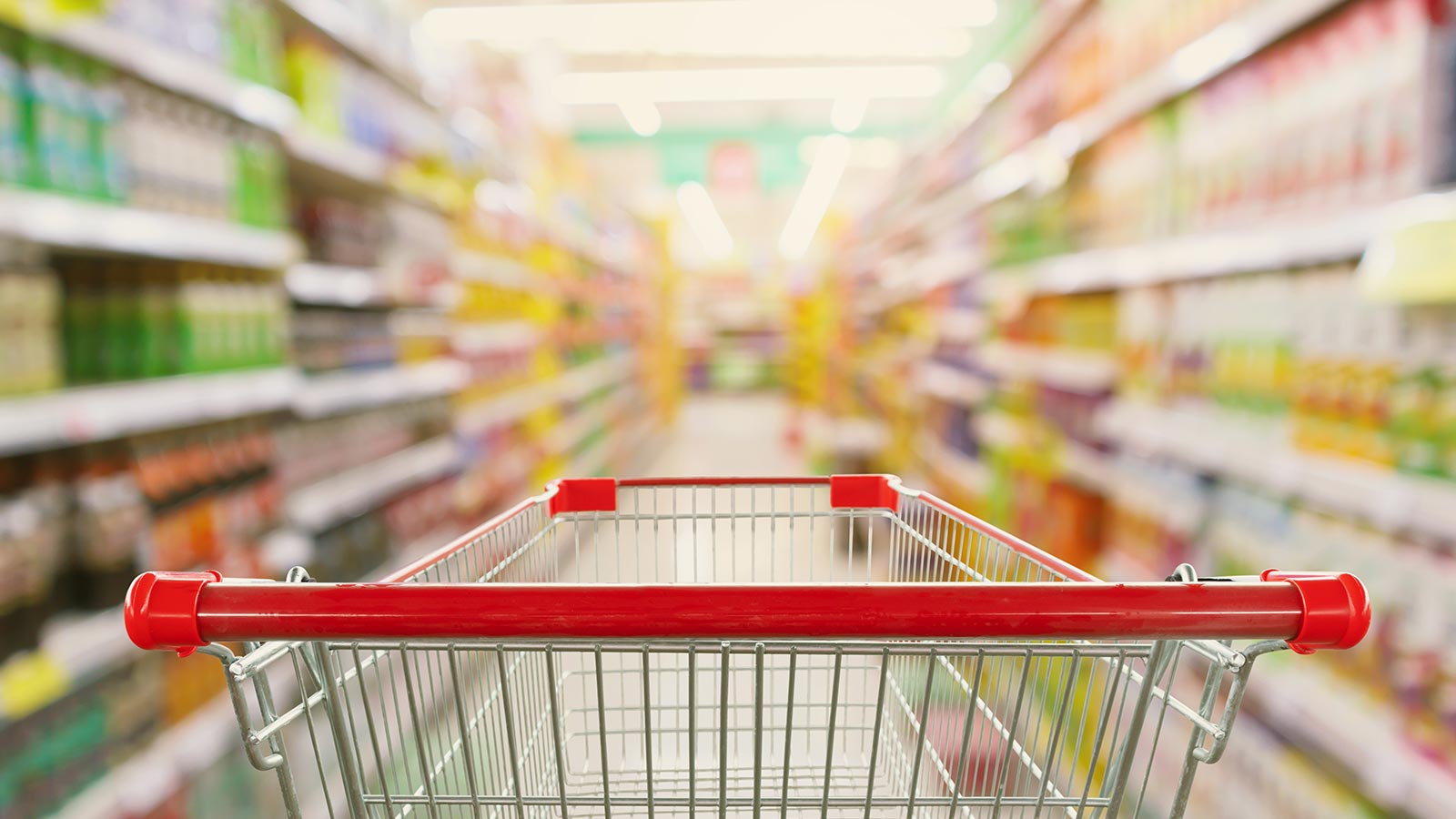 ¿Cuántas calorías necesitamos?